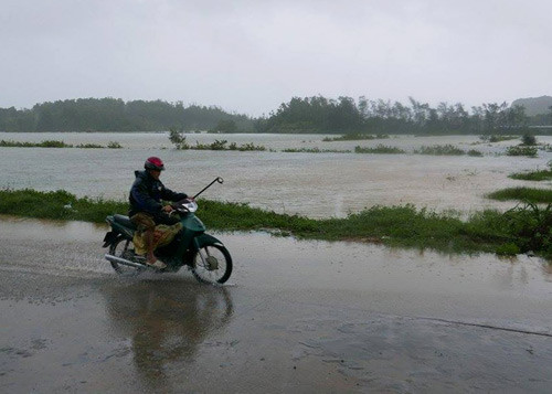 Mưa lớn khiến nhiều diện tích ở Cô Tô bị ngập.