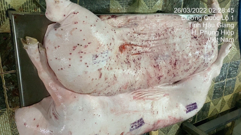 3-6 lon-chet-69971-8451.jpg