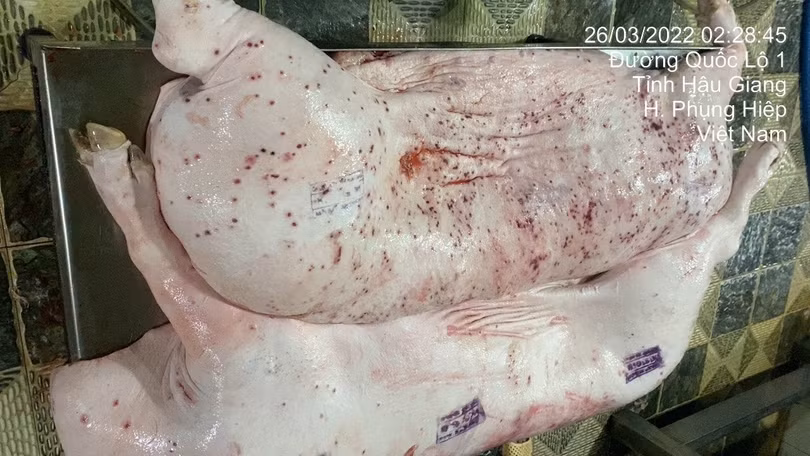 3-6 lon-chet-69971-8451.jpg