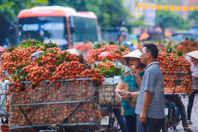 Nghi vấn gây tắc nghẽn thủ phủ vải Bắc Giang để ép giá thu mua ảnh 6