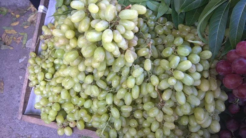 Mỗi ngày 100 tấn nho Tàu: Về Hà Nội toàn nho Mỹ - Úc ảnh 2