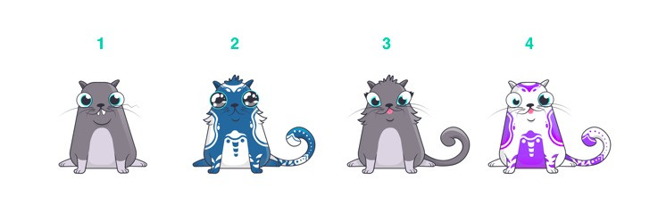 Mỗi giống mèo với mẫu Gen khác nhau sẽ đi kèm những đặc tính 