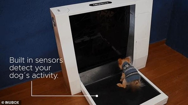 Người dùng có thể kiểm tra mức cát phủ còn lại trên Inubox thông qua ứng dụng trên smartphone (Ảnh: Dailymail)