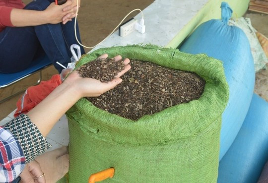 Tạp chất của tiêu được thu mua với giá 15.000 đồng/kg