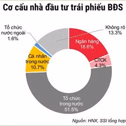 Siết trái phiếu, thắt tín dụng: Bất động sản 2020 khó chồng khó ảnh 2
