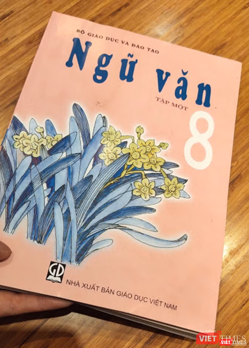 NPB Văn học Trần Hoài Anh cho rằng sách giáo khoa không được phép sai (Ảnh: Hòa Bình)