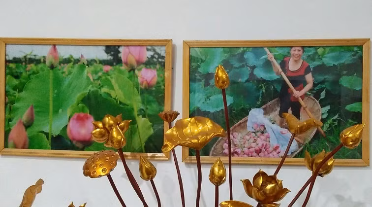 Đầm sen của gia đình nghệ nhân Ngô Văn Xiêm được treo trang trọng tại phòng khách.