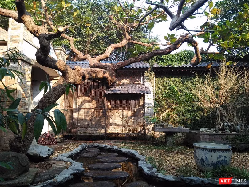 Một khoảng không gian đẹp lôi cuốn trong khu vườn của nghệ nhân Phạm Thế Anh. Một khoảng không gian đẹp lôi cuốn trong khu vườn của nghệ nhân Phạm Thế Anh.