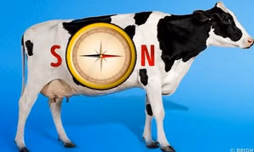 10 bí ẩn khoa học chưa thể lý giải ảnh 3