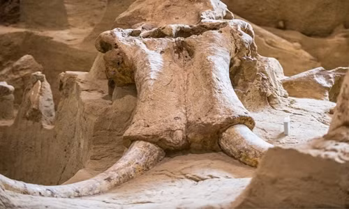 10 bí ẩn khoa học chưa thể lý giải ảnh 7