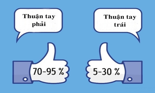 10 bí ẩn khoa học chưa thể lý giải ảnh 6