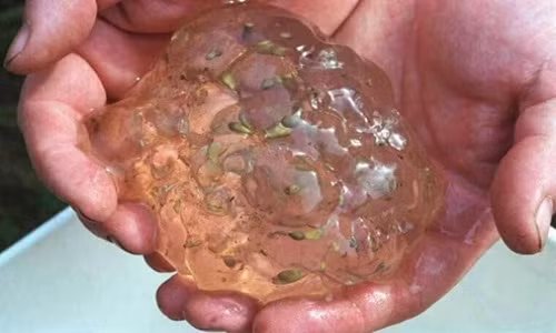 Một số bí ẩn mà khoa học chưa thể lý giải.