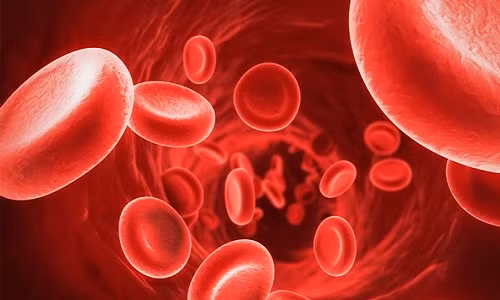 10 bí ẩn khoa học chưa thể lý giải ảnh 10