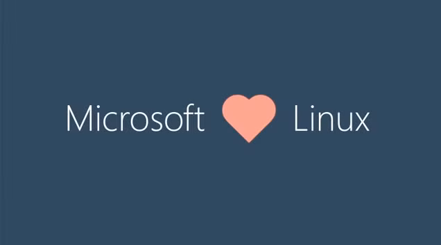 Microsoft "kết hôn" Linux - Ảnh: The ArsTechnica