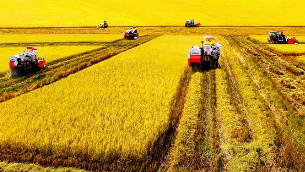 Tích tụ ruộng đất tạo điều kiện cho cơ giới hóa nông nghiệp