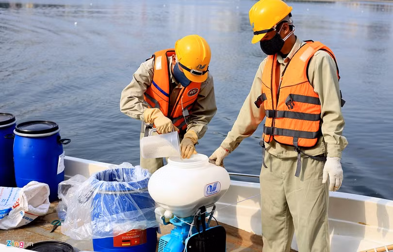 Chế phẩm Redocy-3C được Hà Nội đặt hàng thiết kế độc quyền