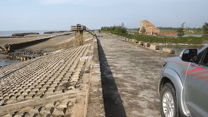 Ảnh minh họa/ Nguồn: Báo Đấu thầu