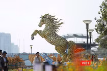 Linh vật ngựa mang tên “Kim Mã Hợp Nhất” mạnh mẽ đại diện cho hình ảnh Đà Nẵng mới hiện đại dần hoàn thành đã thu hút du khách.