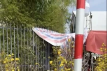 Chủ vựa mai Tất tại chợ hoa Xuân Đà Nẵng Tết Bính Ngọ 2026 giảm giá sâu trong ngày 29 Tết.