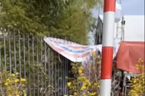 Chủ vựa mai Tất tại chợ hoa Xuân Đà Nẵng Tết Bính Ngọ 2026 giảm giá sâu trong ngày 29 Tết.