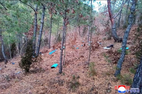 Các mảnh vỡ của chiếc UAV bị rơi nằm rải rác trong rừng thông. Ảnh: QQnews.