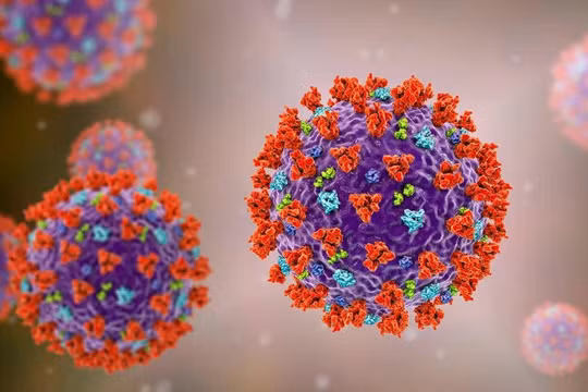 Biến chủng mới "Cicada" của COVID-19 đã xuất hiện và lây lan ở 23 quốc gia nhưng vẫn trong tầm kiểm soát. Ảnh: Creaders.