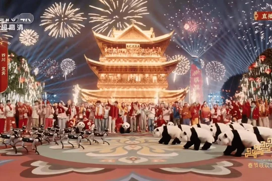 Màn biểu diễn Chó máy đấu Gấu trúc khiến khán giả rất hứng thú. Ảnh: Sina.