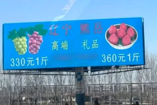 Biển quảng cáo Nho Vua và Dâu tây Vua dựng ven đường cao tốc. Ảnh: Worldjournal.