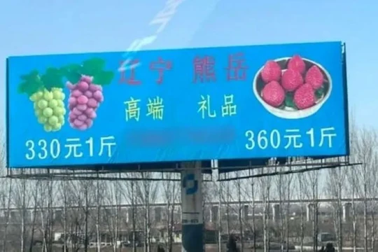 Biển quảng cáo Nho Vua và Dâu tây Vua dựng ven đường cao tốc. Ảnh: Worldjournal.