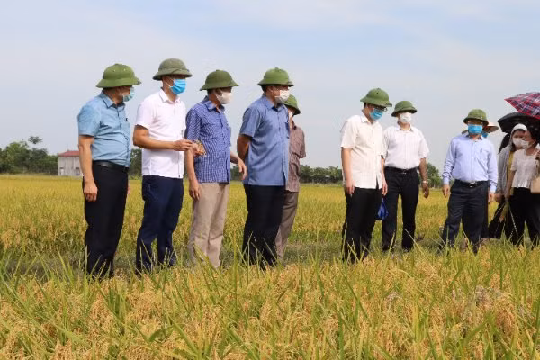 Hiệu quả kinh tế từ phát triển HTX ứng dụng công nghệ cao ảnh 2 Hiệu quả kinh tế từ phát triển HTX ứng dụng công nghệ cao - Ảnh 3.