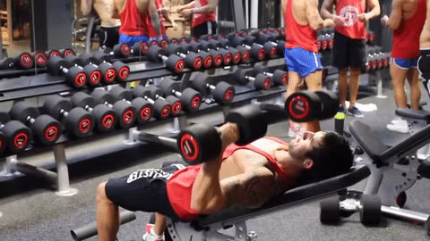 Sự thật đau lòng tại phòng tập gym ảnh 2