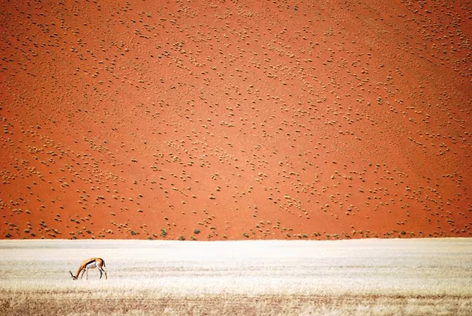 23 ảnh du lịch đẹp nhất thế giới năm 2016 trên National Geographic ảnh 7