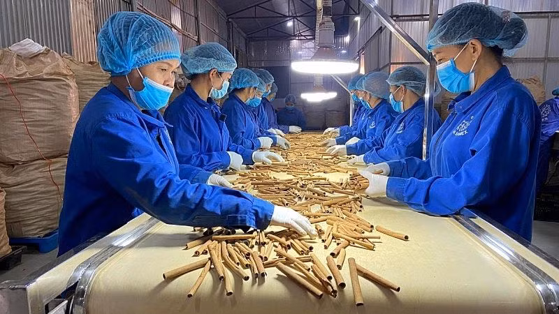Sắp vinh danh "Vì sự phát triển dược liệu Việt"
