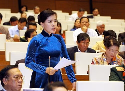 Luật An ninh mạng có nguy cơ làm thủ tục hành chính thêm cồng kềnh, rối rắm ảnh 1