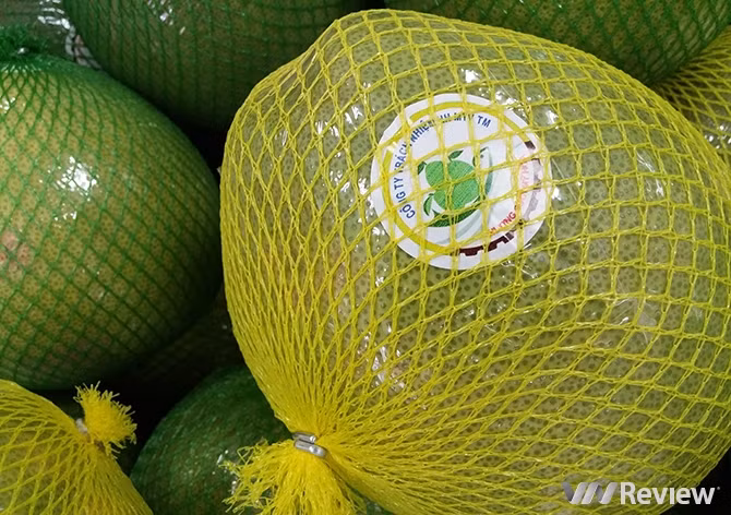 "Đọc vị" nhãn dán trên hoa quả nhập khẩu ảnh 10