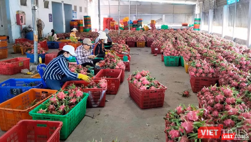 Những sản phẩm mang chỉ dẫn địa lý ở Nhật Bản thường có giá bán cao hơn thông thường và được người dân nơi đây ưa chuộng. Những sản phẩm mang chỉ dẫn địa lý ở Nhật Bản thường có giá bán cao hơn thông thường và được người dân nơi đây ưa chuộng.