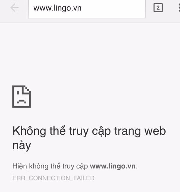 Website thương mại điện tử Lingo.vn "sập tiệm"? ảnh 1