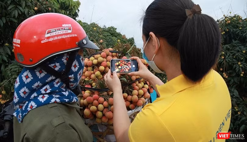 Nhân viên Bưu điện hỗ trợ nông dân đưa nông sản lên sàn TMĐT Postmart.