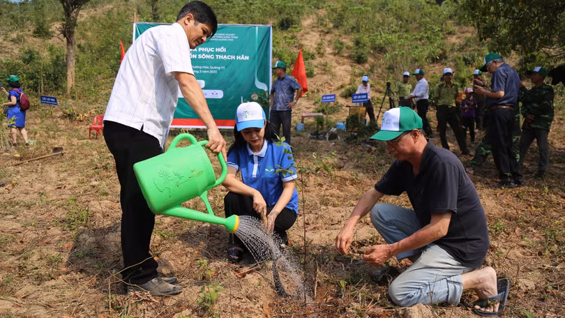 Năm 2021 và 2022, VARS trồng được 313,9 hecta tại 3 tỉnh Sơn La, Quảng Trị và Quảng Bình