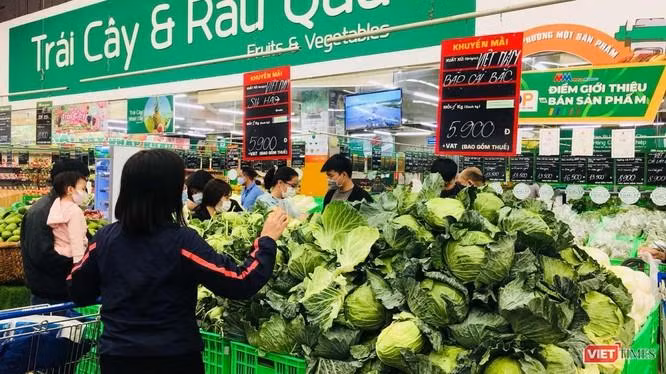 Su hào và bắp cải của Hải Dương được bán với giá 5.900 đồng/kg.