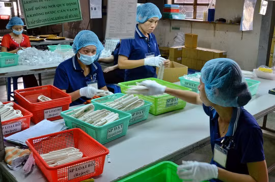 Doanh nghiệp tư nhân chịu thiệt thòi rất lớn so với doanh nghiệp FDI và doanh nghiệp nhà nước