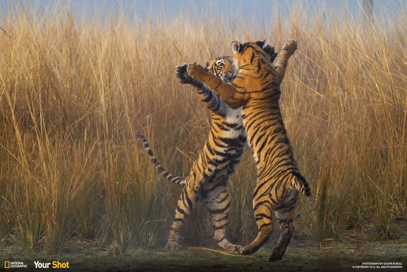 20 bức ảnh "có hồn" nhất của National Geographic ảnh 17 20 bức ảnh "có hồn" nhất của National Geographic ảnh 17