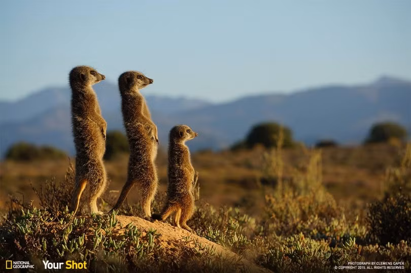 20 bức ảnh "có hồn" nhất của National Geographic ảnh 3 20 bức ảnh "có hồn" nhất của National Geographic ảnh 3