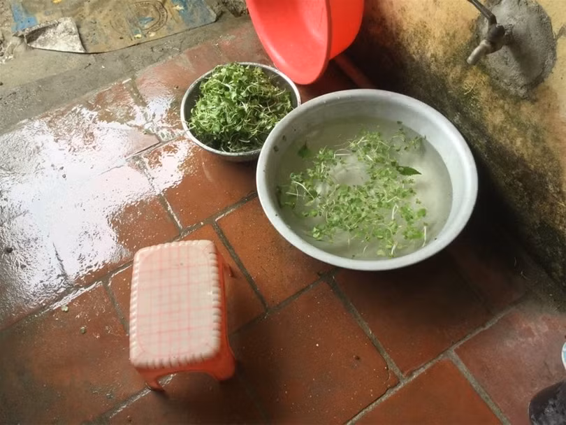 "Một ngày ở Việt Nam" khiến cộng đồng mạng thế giới... "phát sốt" ảnh 26 "Một ngày ở Việt Nam" khiến cộng đồng mạng thế giới... "phát sốt" ảnh 26