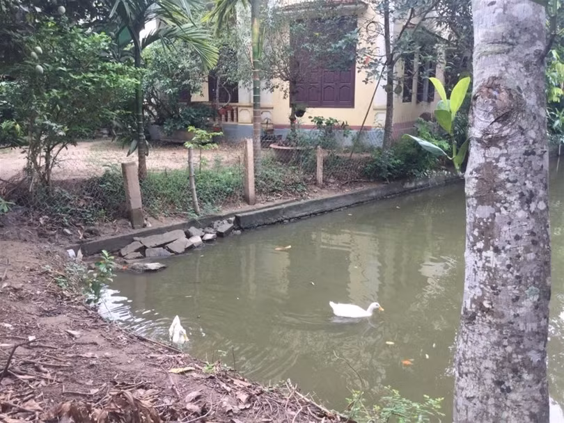 "Một ngày ở Việt Nam" khiến cộng đồng mạng thế giới... "phát sốt" ảnh 20 "Một ngày ở Việt Nam" khiến cộng đồng mạng thế giới... "phát sốt" ảnh 20