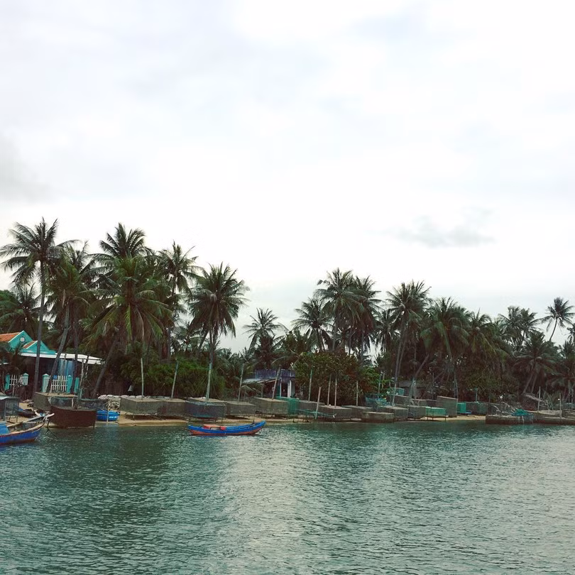 Mê mẩn 5 vịnh biển miền Trung còn rất hoang sơ ảnh 6