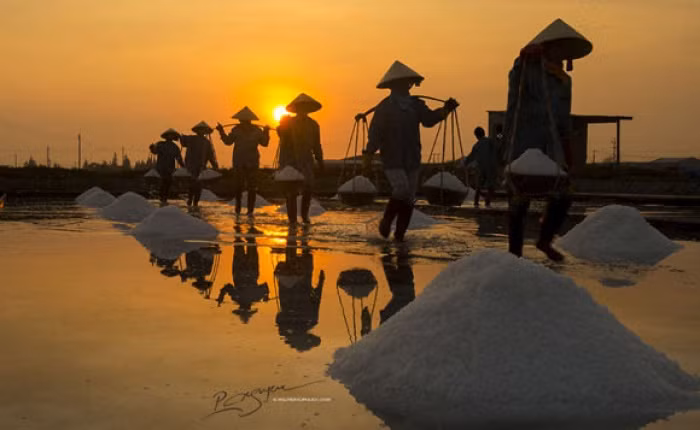 Cánh đồng muối Việt: Nơi ngắm hoàng hôn đẹp nhất thế giới ảnh 7 Cánh đồng muối Việt: Nơi ngắm hoàng hôn đẹp nhất thế giới ảnh 7