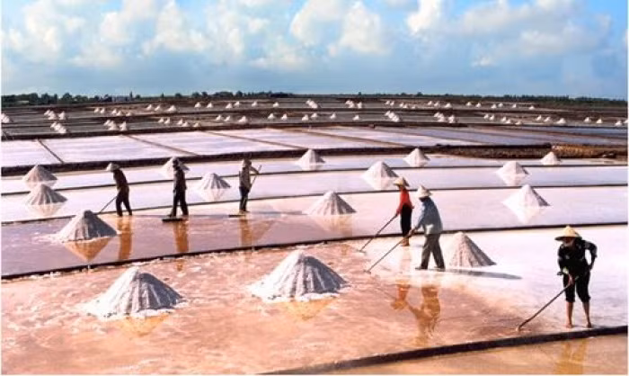 Cánh đồng muối Việt: Nơi ngắm hoàng hôn đẹp nhất thế giới ảnh 5 Cánh đồng muối Việt: Nơi ngắm hoàng hôn đẹp nhất thế giới ảnh 5