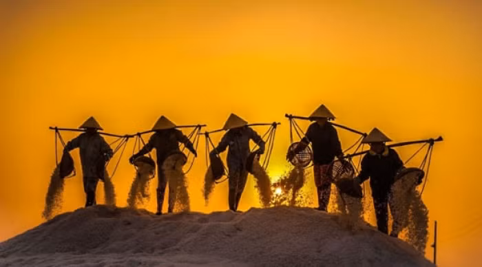 Cánh đồng muối Việt: Nơi ngắm hoàng hôn đẹp nhất thế giới ảnh 8 Cánh đồng muối Việt: Nơi ngắm hoàng hôn đẹp nhất thế giới ảnh 8