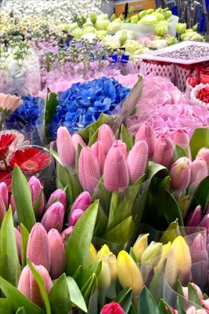 Khám phá chợ hoa lớn nhất Hà Nội dịp giáp Tết